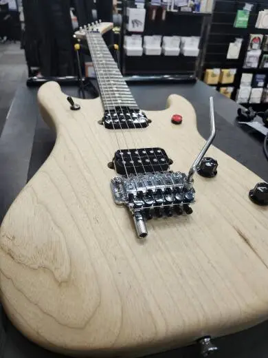 Store Special Product - EVH - 510-8002-534